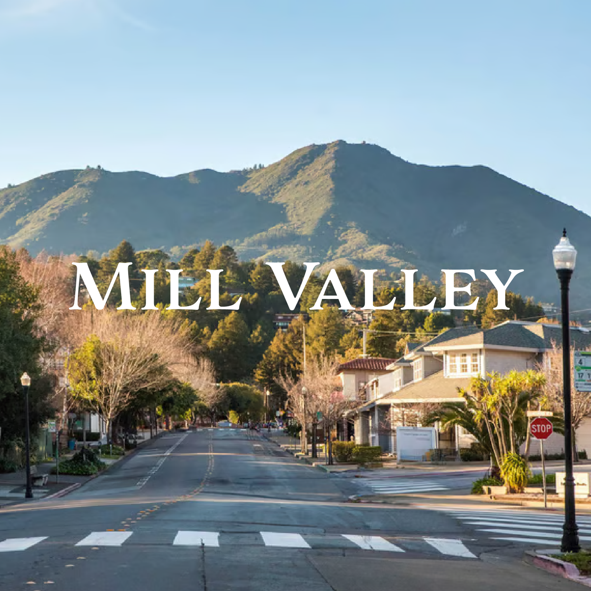 Mill Valley California product line Lowkey Local